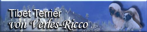 Tibet Terrier von Verles-Ricco