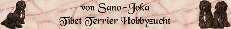 von Sano-Joka Tibet Terrier Hobbyzucht