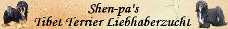 Shen-pa's Tibet Terrier Liebhaberzucht